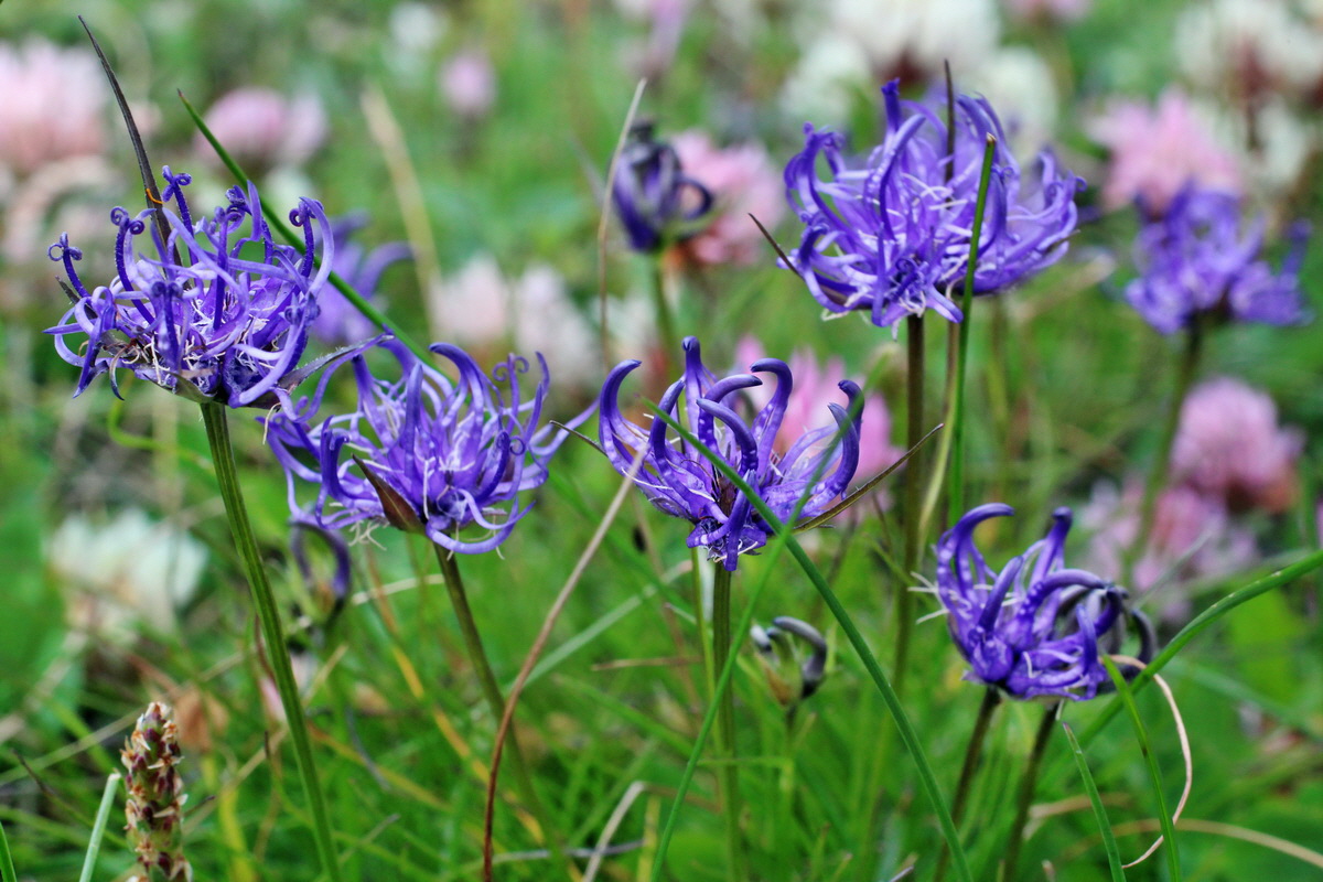 2014_07_23_00003957p_Bildgr��e �ndern