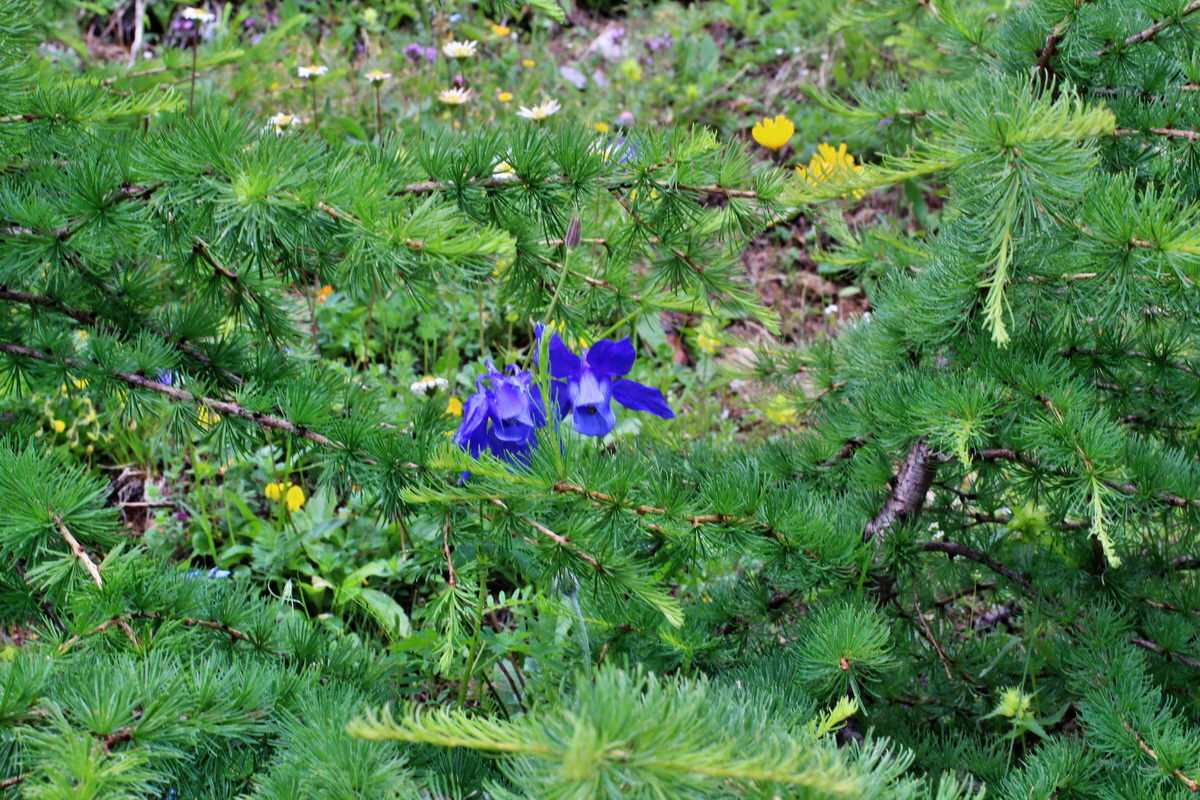 2014_07_23_00003961p_Bildgr��e �ndern