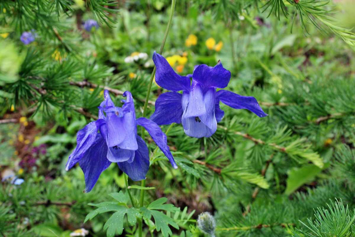 2014_07_23_00003963p_Bildgr��e �ndern