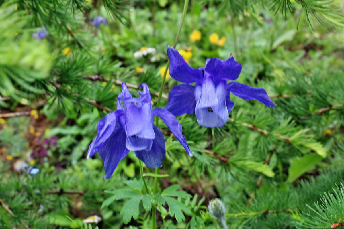 2014_07_23_00003968p_Bildgr��e �ndern