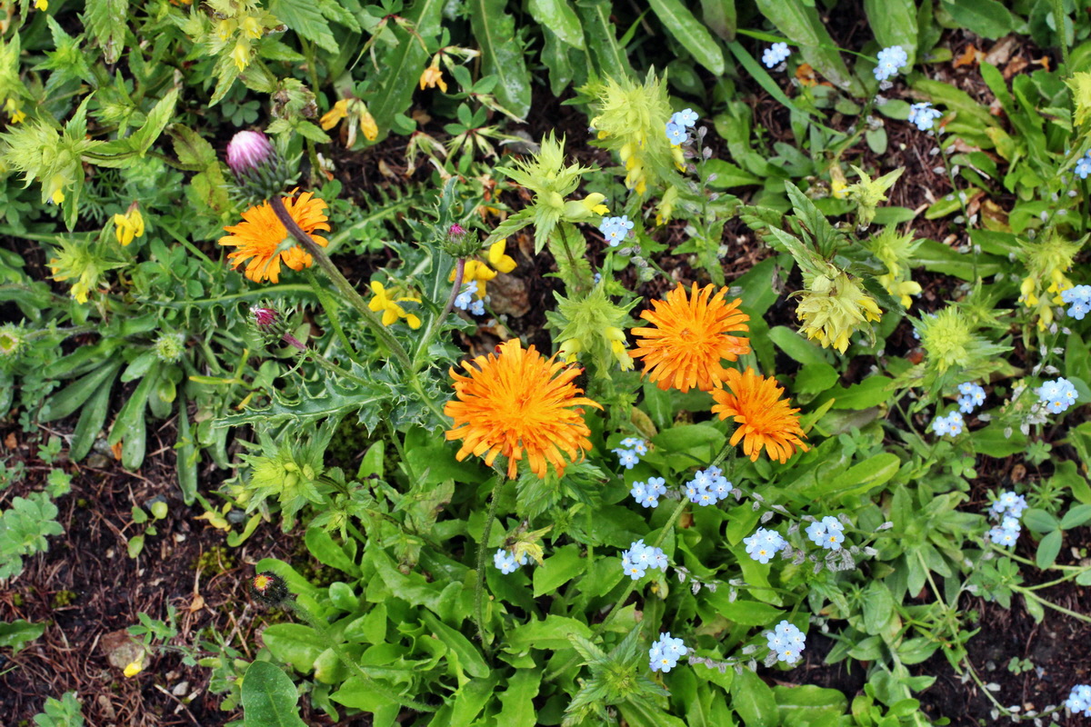 2014_07_23_00003972p_Bildgr��e �ndern