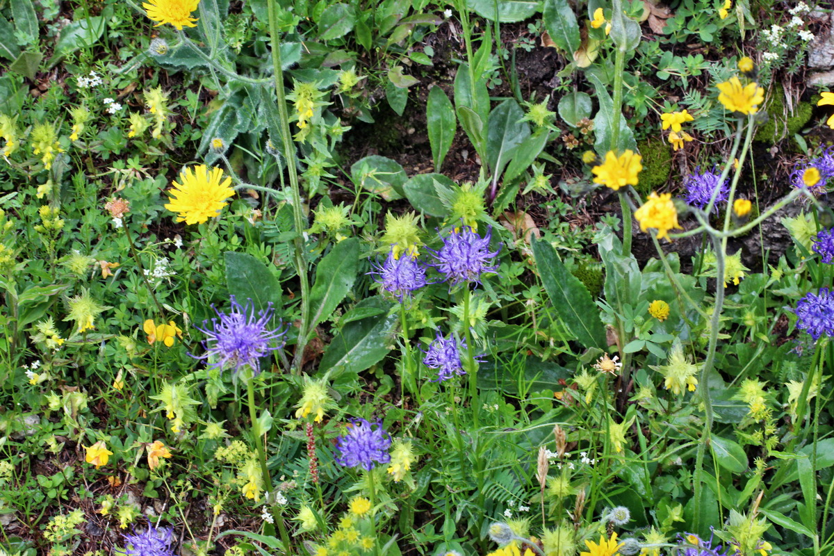 2014_07_23_00003976p_Bildgr��e �ndern