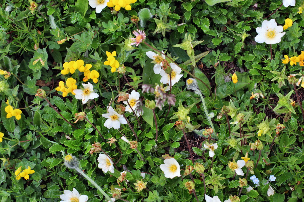 2014_07_23_00003980p_Bildgr��e �ndern