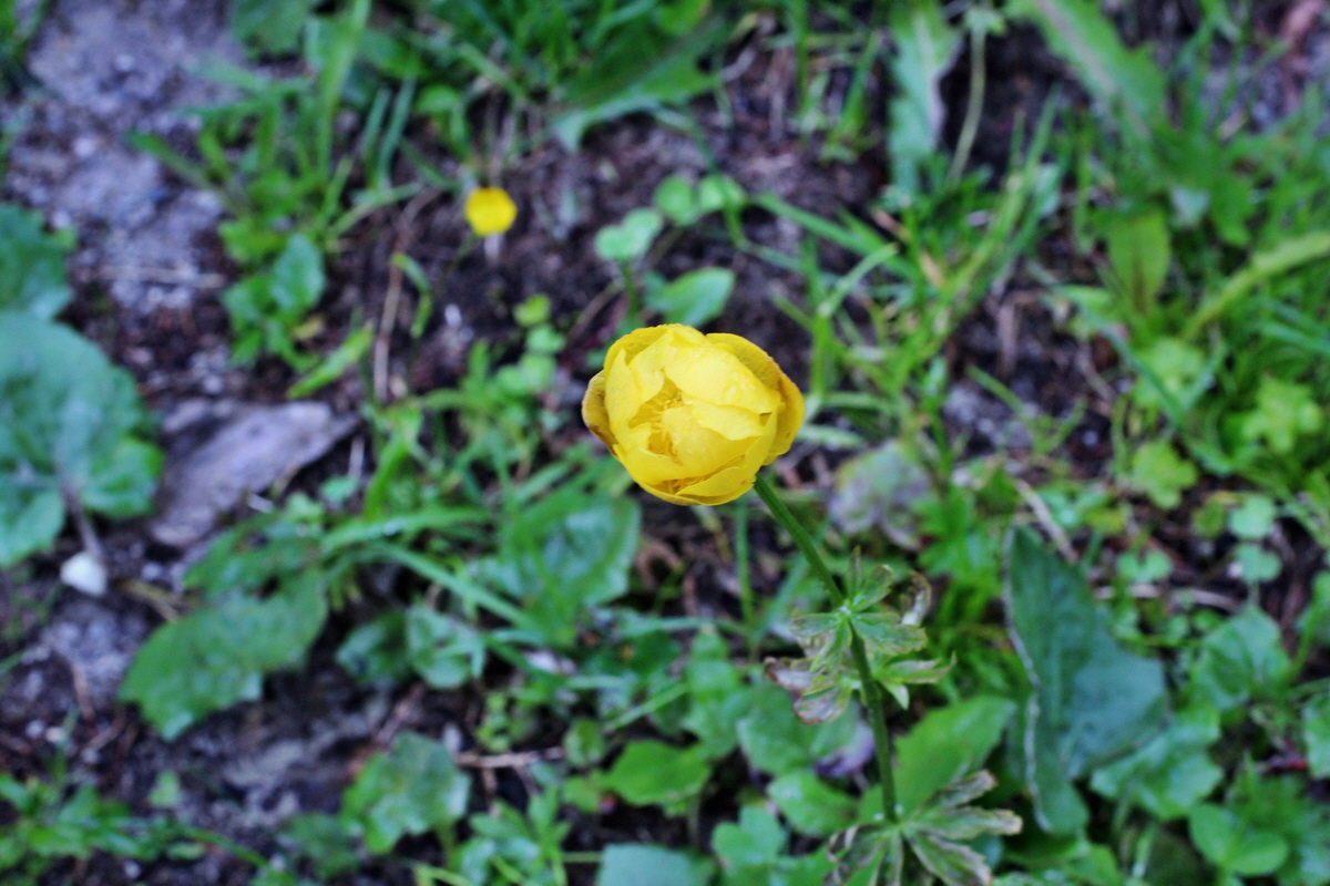 2014_07_23_00003984p_Bildgr��e �ndern