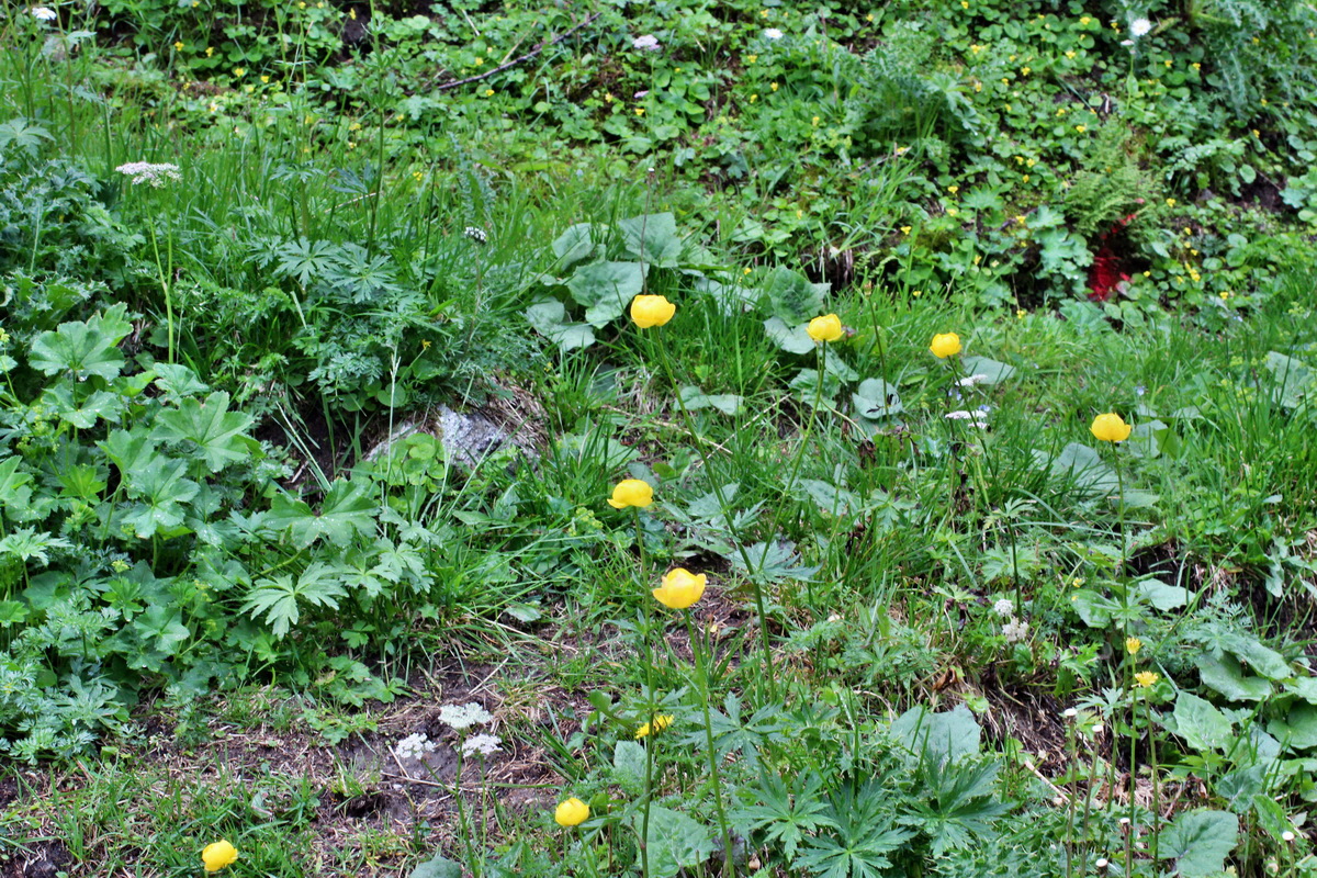 2014_07_23_00003987p_Bildgr��e �ndern