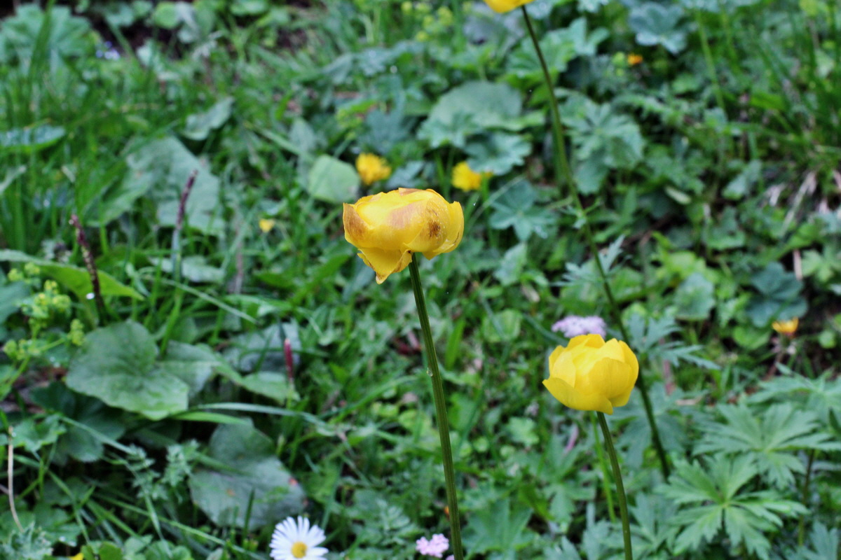 2014_07_23_00003989p_Bildgr��e �ndern