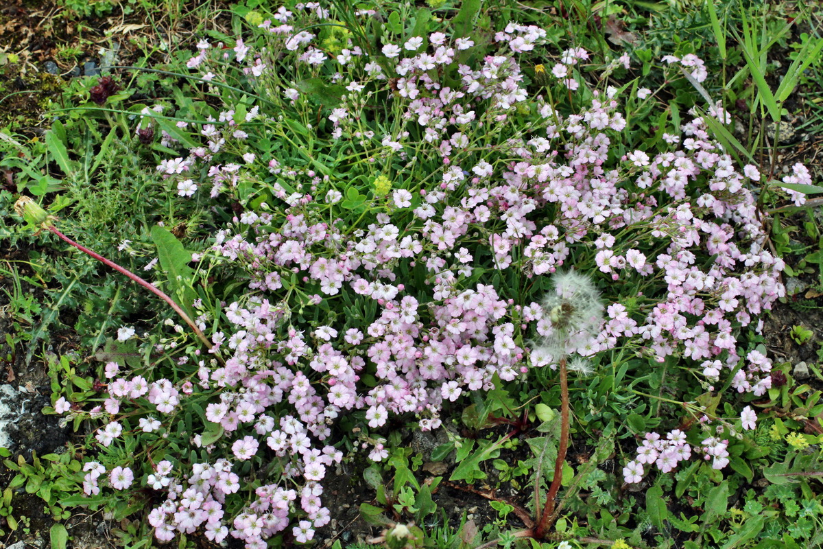 2014_07_23_00003992p_Bildgr��e �ndern