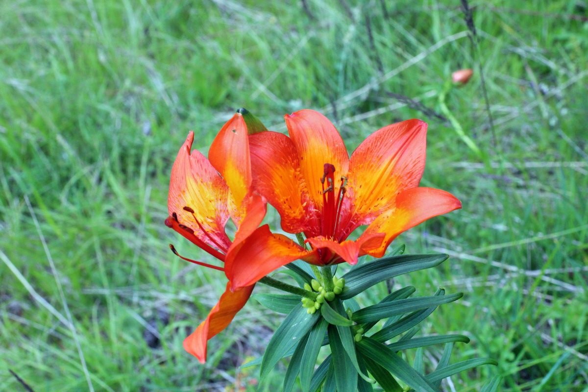 2014_07_23_00004015p_Bildgr��e �ndern