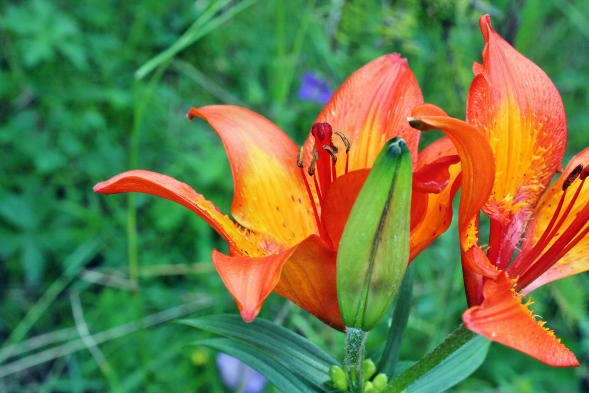 2014_07_23_00004019p_Bildgr��e �ndern