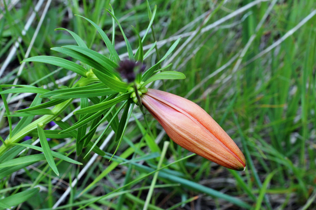 2014_07_23_00004027p_Bildgr��e �ndern