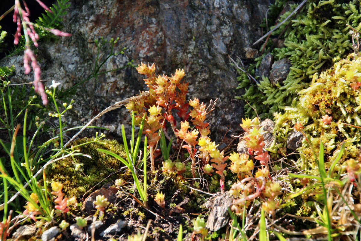 2014_07_23_00003467p_Bildgr��e �ndern