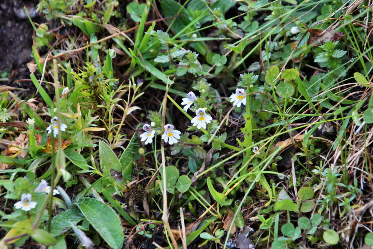 2014_07_23_00003486p_Bildgr��e �ndern