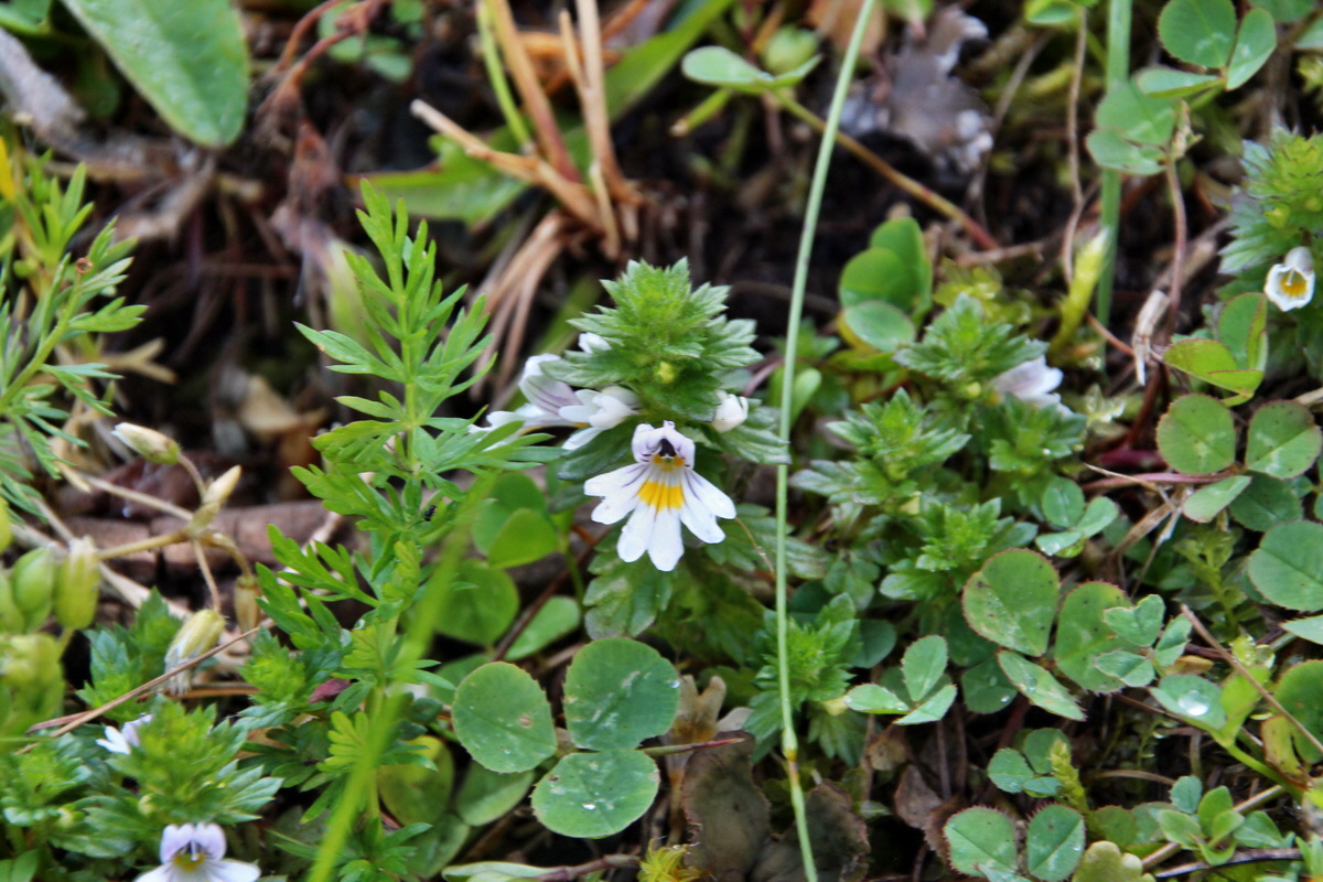 2014_07_23_00003490p_Bildgr��e �ndern