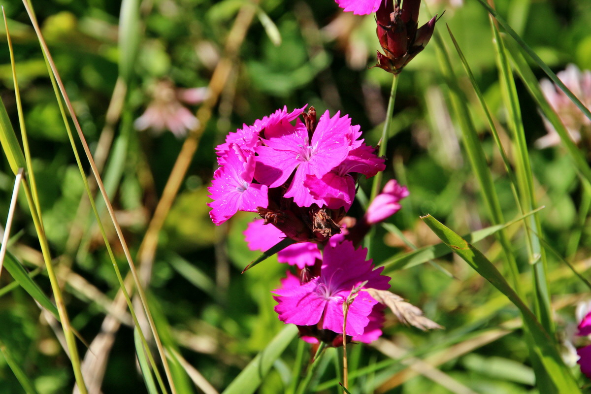 2014_07_23_00003537p_Bildgr��e �ndern