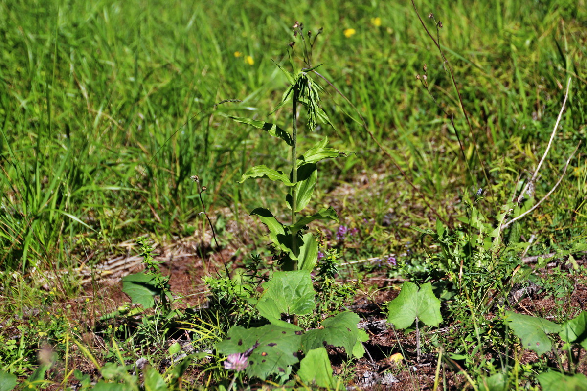 2014_07_23_00003545p_Bildgr��e �ndern