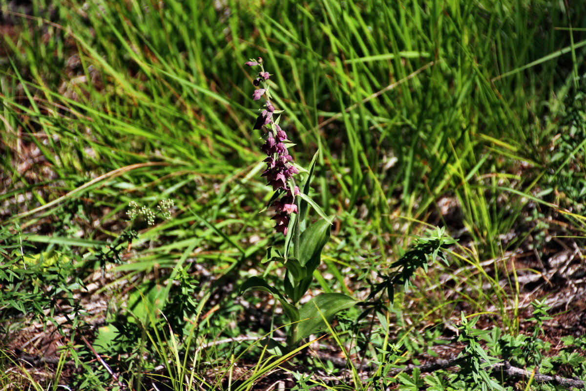 2014_07_23_00003549p_Bildgr��e �ndern