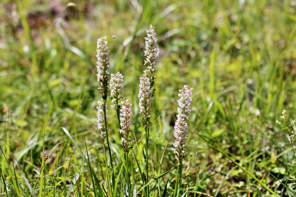 2014_07_23_00003552p_Bildgr��e �ndern