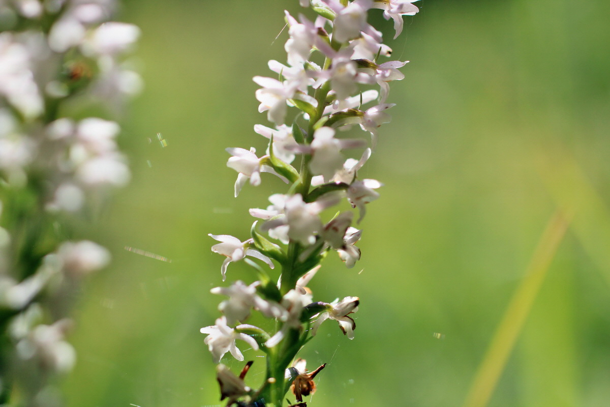 2014_07_23_00003556p_Bildgr��e �ndern