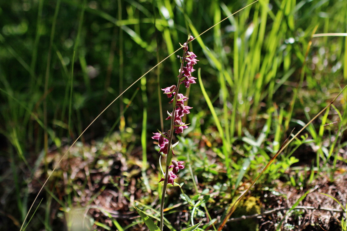 2014_07_23_00003566p_Bildgr��e �ndern