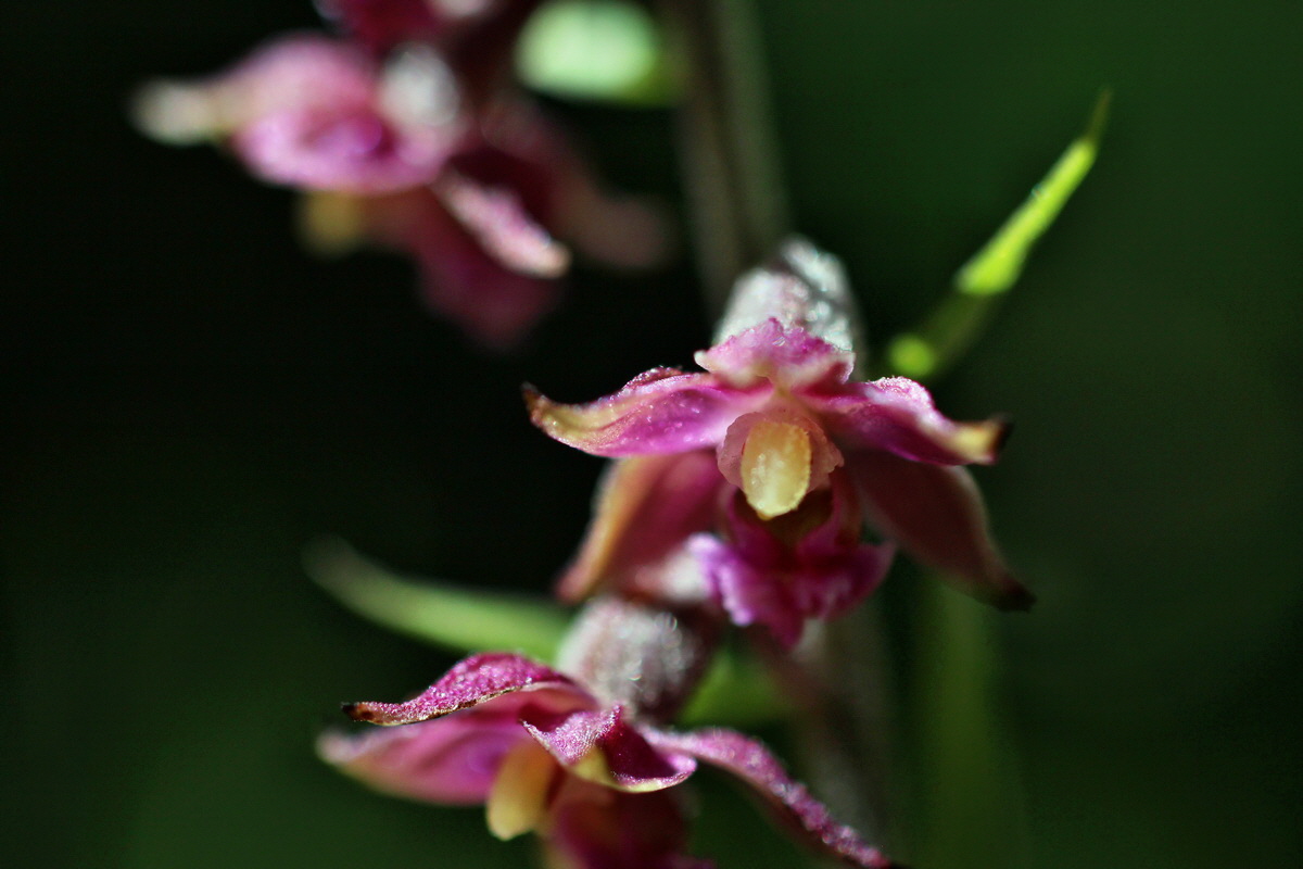 2014_07_23_00003569p_Bildgr��e �ndern