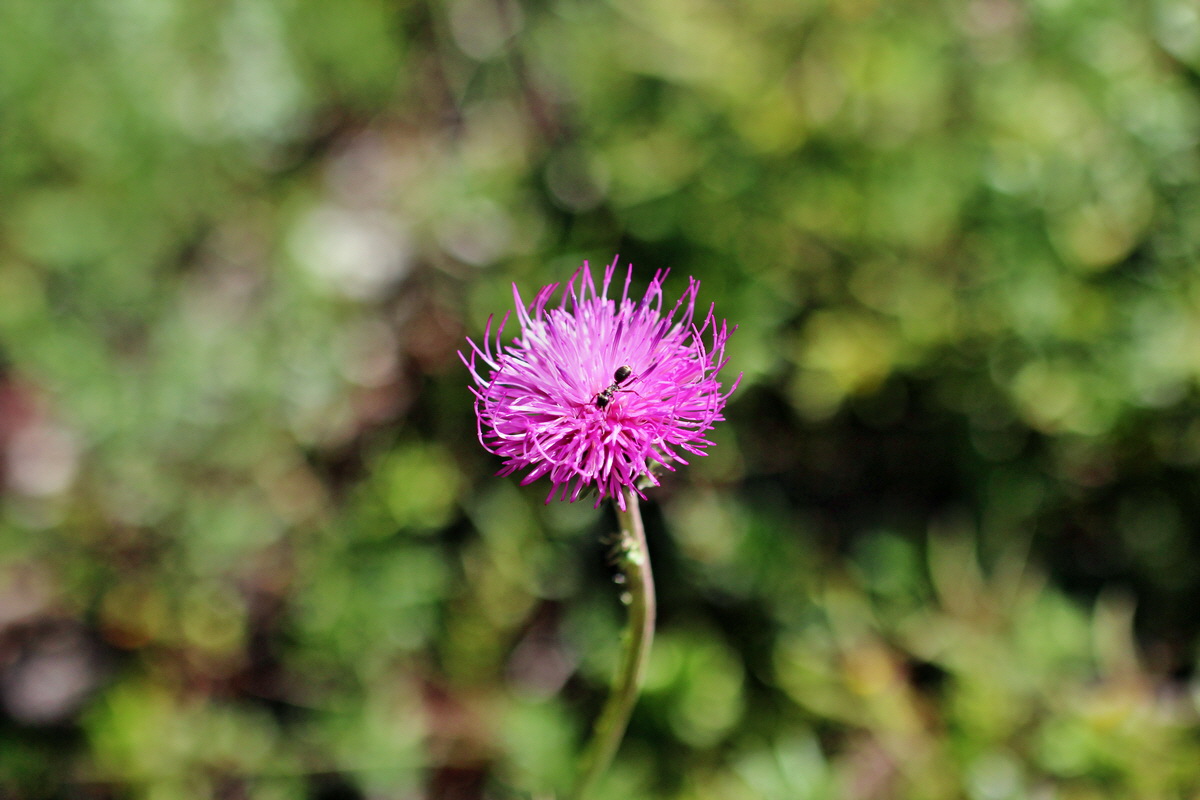 2014_07_23_00003573p_Bildgr��e �ndern