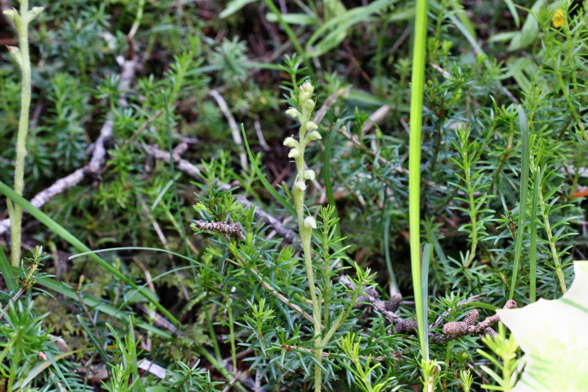 2014_07_23_00003584p_Bildgr��e �ndern