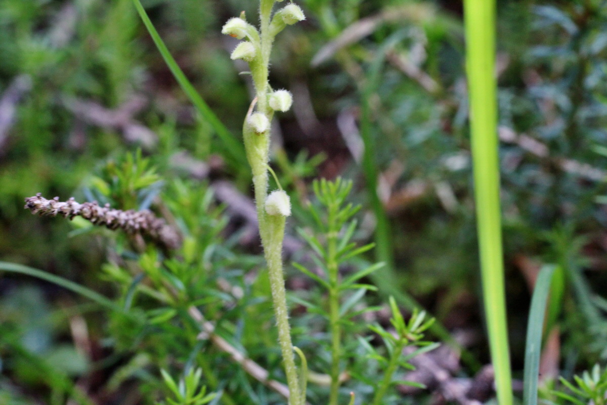 2014_07_23_00003586p_Bildgr��e �ndern