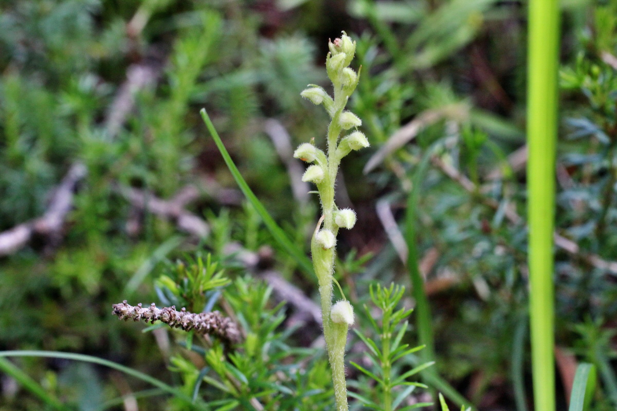 2014_07_23_00003588p_Bildgr��e �ndern