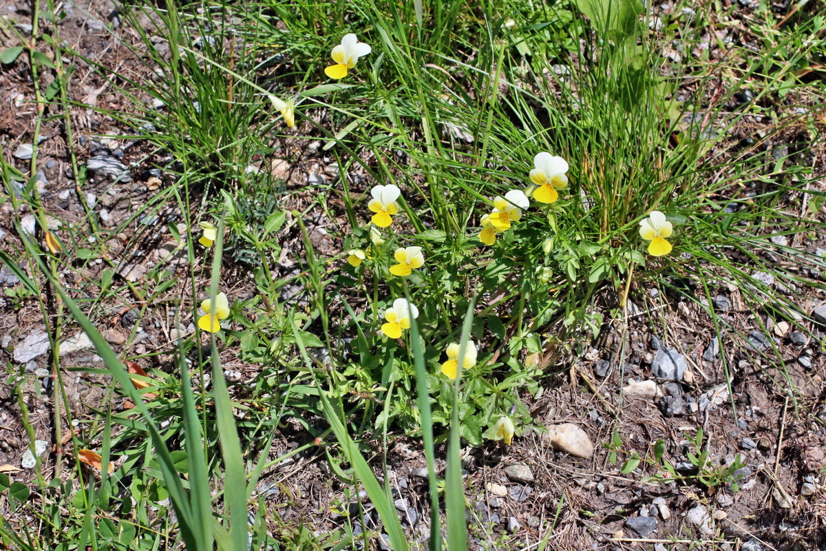 2014_07_23_00003592p_Bildgr��e �ndern