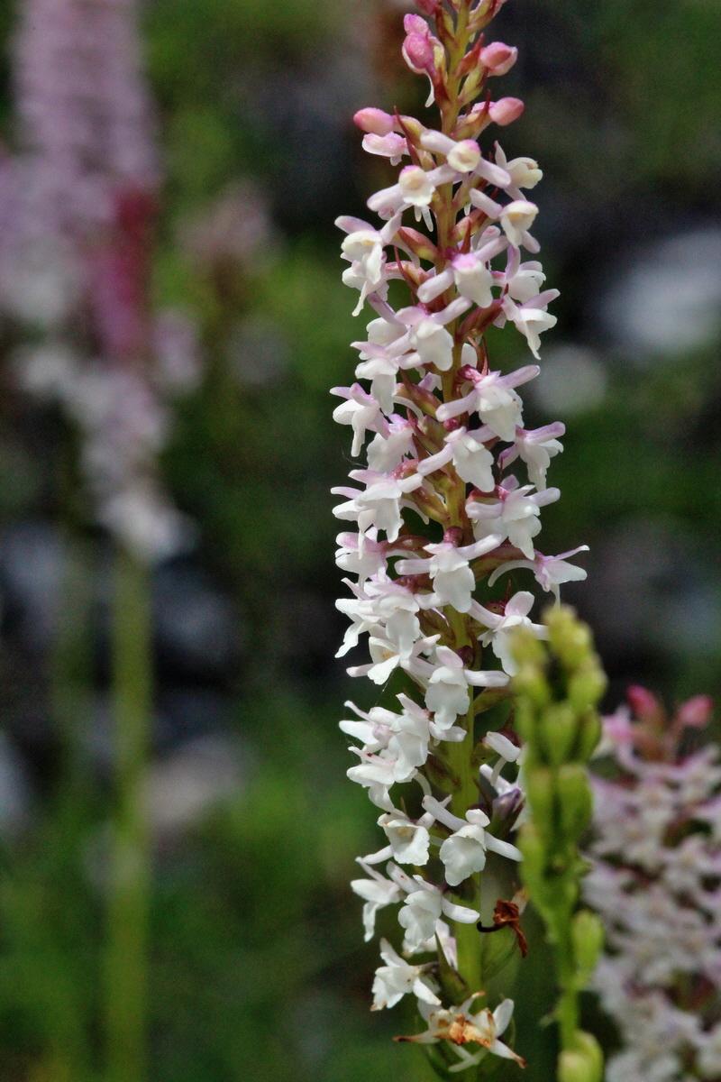 2014_07_23_00003608p_Bildgr��e �ndern