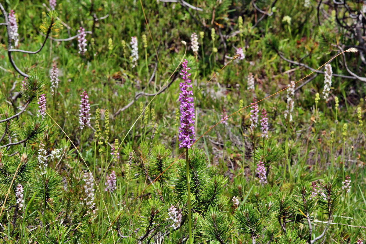 2014_07_23_00003616p_Bildgr��e �ndern