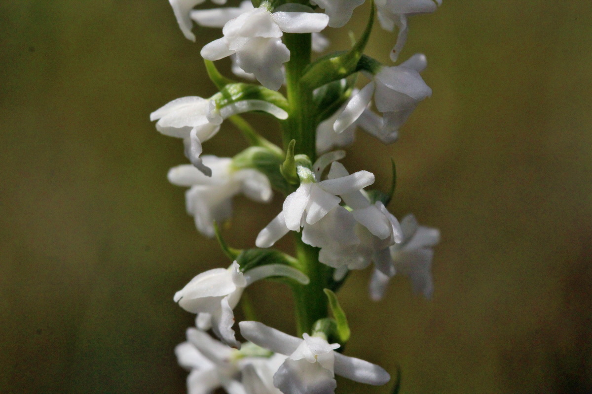 2014_07_23_00003620p_Bildgr��e �ndern