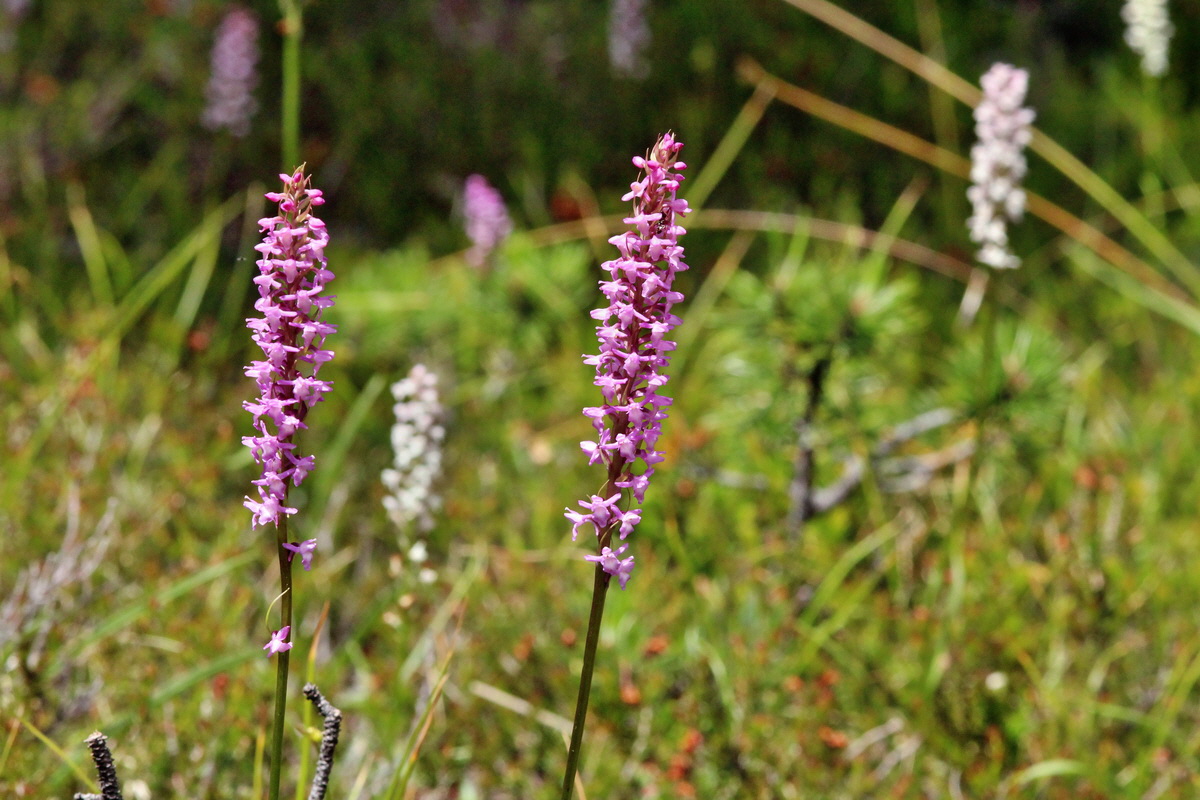 2014_07_23_00003626p_Bildgr��e �ndern