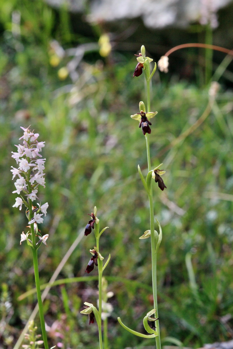 2014_07_23_00003634p_Bildgr��e �ndern