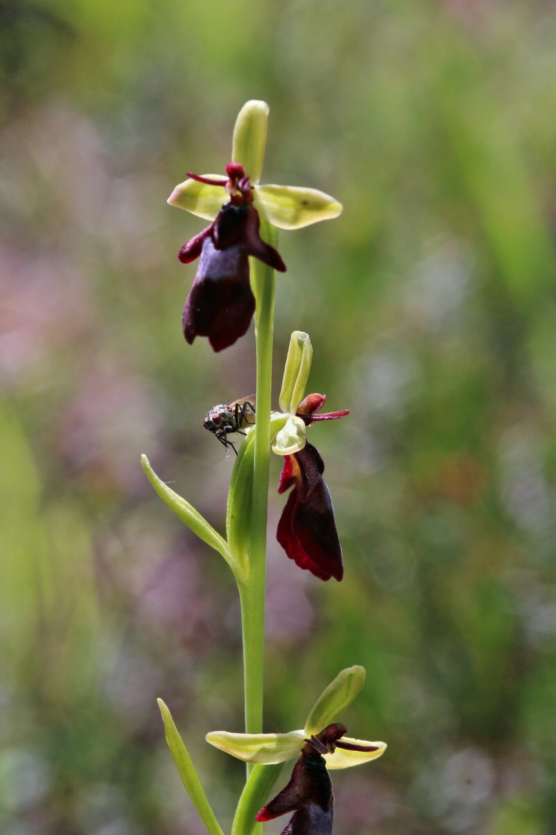 2014_07_23_00003640p_Bildgr��e �ndern