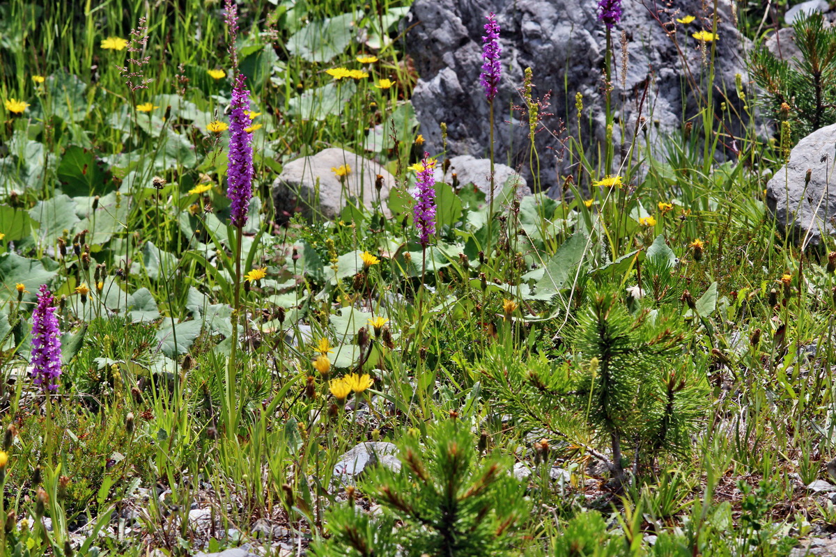 2014_07_23_00003649p_Bildgr��e �ndern