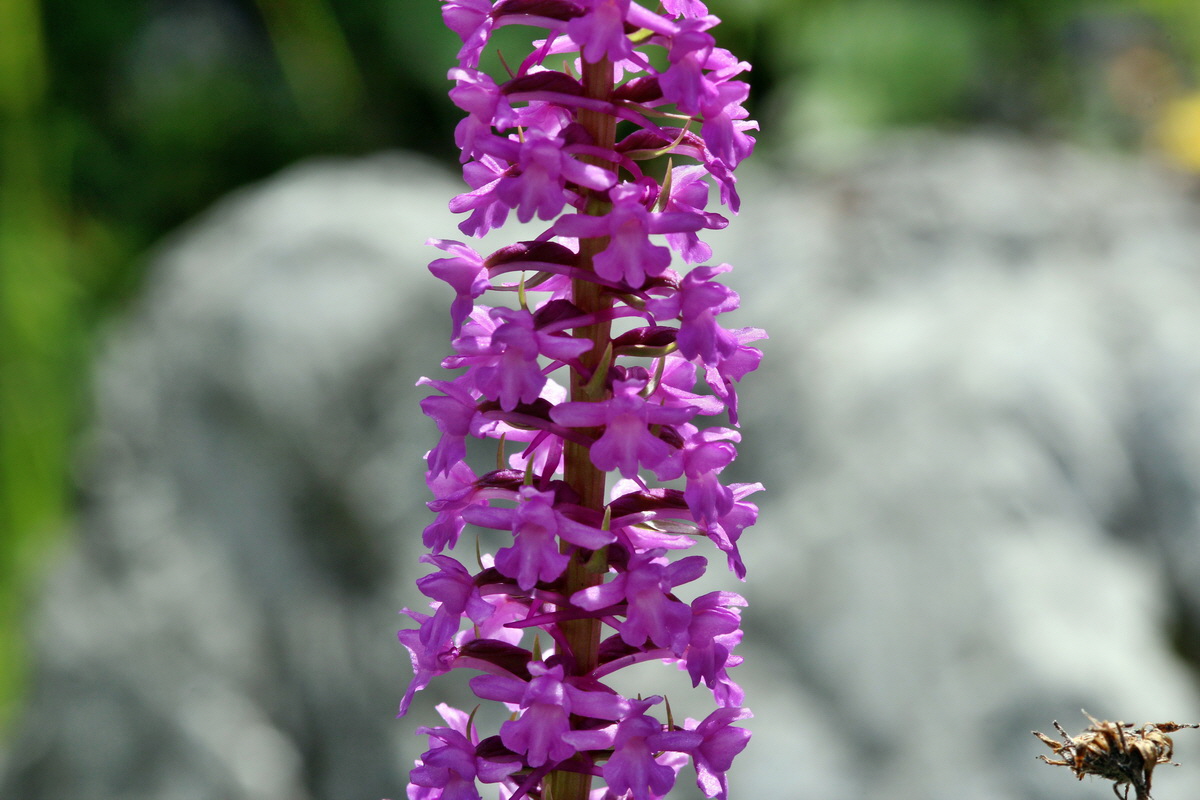 2014_07_23_00003653p_Bildgr��e �ndern