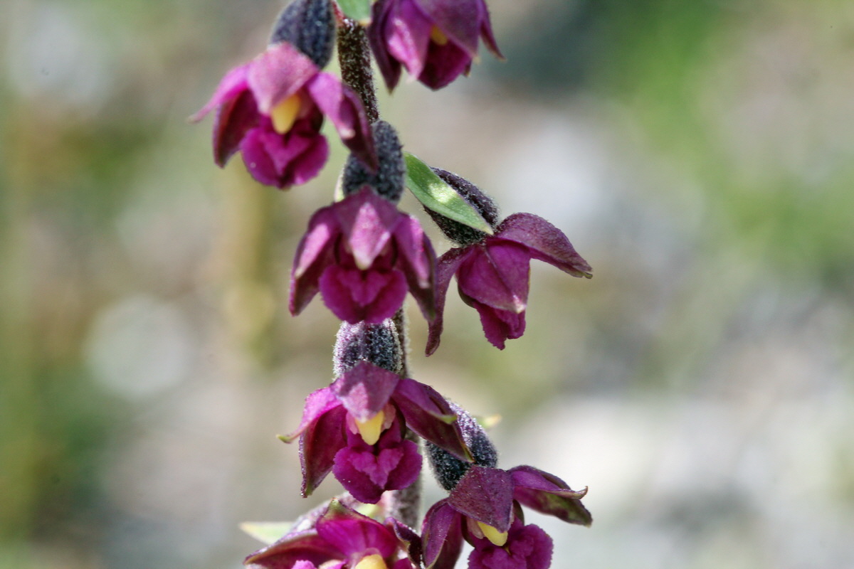 2014_07_23_00003657p_Bildgr��e �ndern