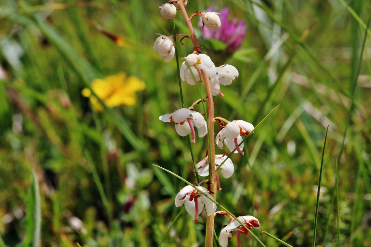 2014_07_23_00003659p_Bildgr��e �ndern