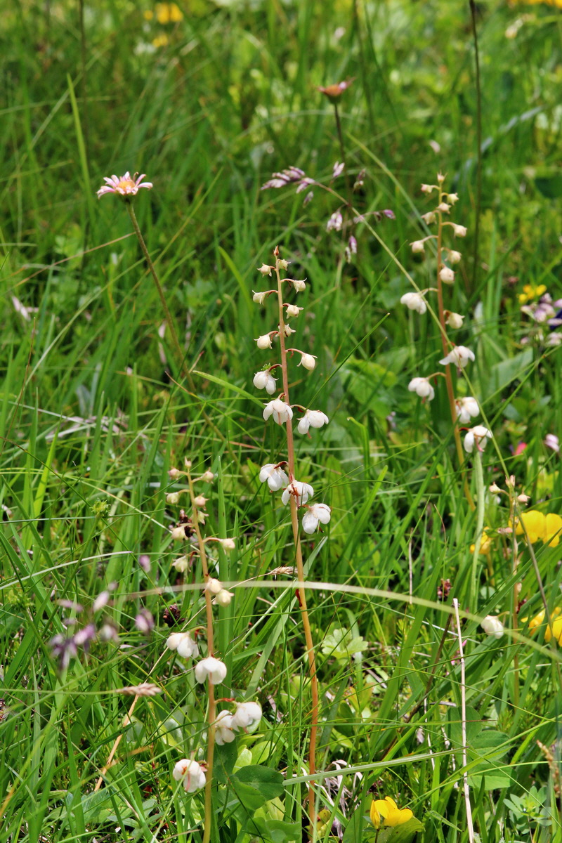 2014_07_23_00003662p_Bildgr��e �ndern