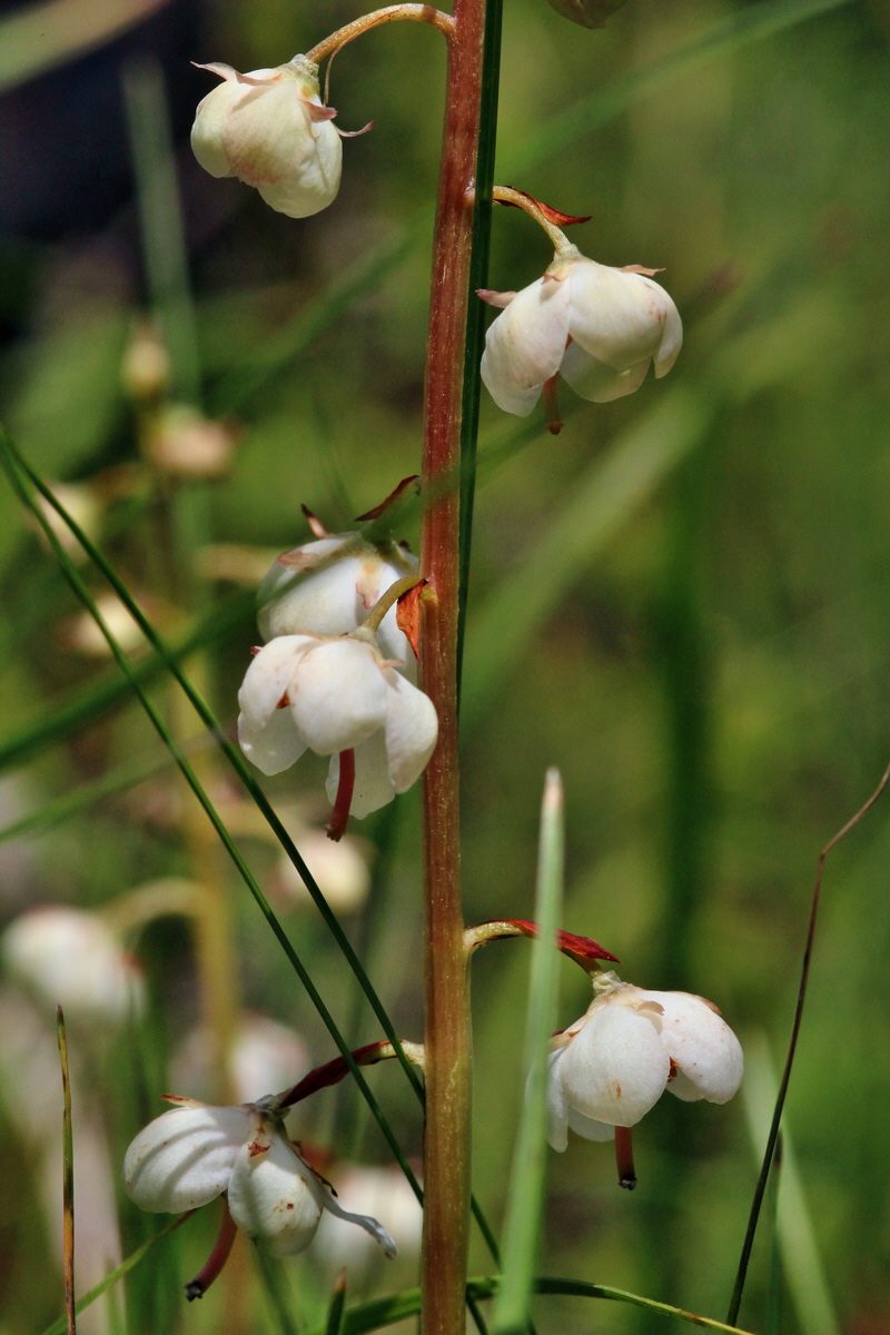 2014_07_23_00003667p_Bildgr��e �ndern