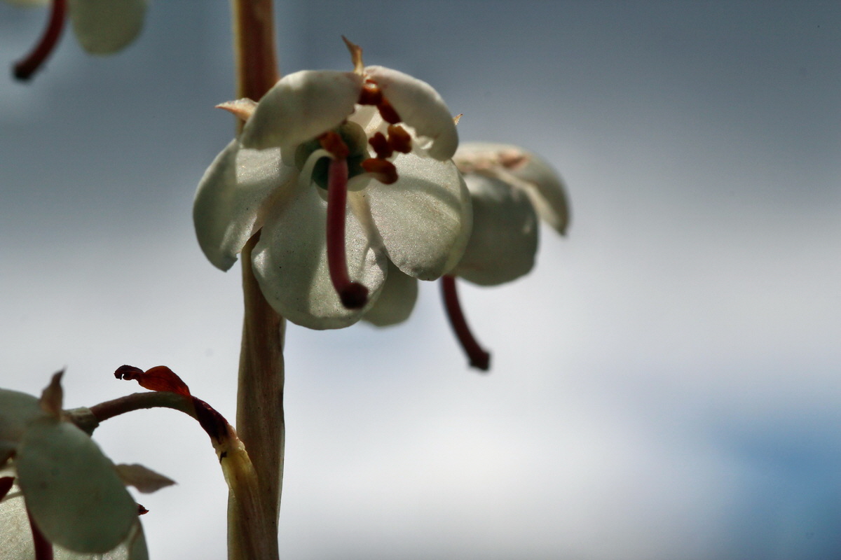 2014_07_23_00003670p_Bildgr��e �ndern