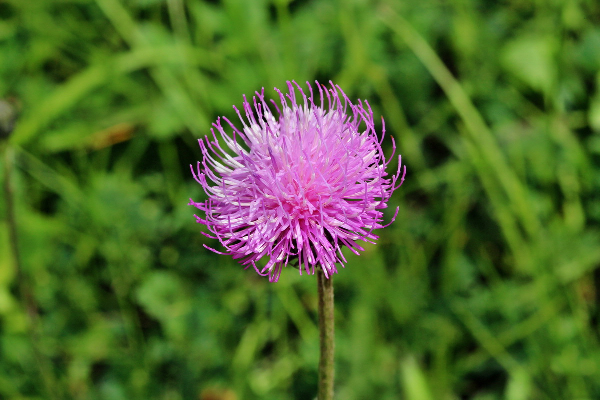 2014_07_23_00003673p_Bildgr��e �ndern