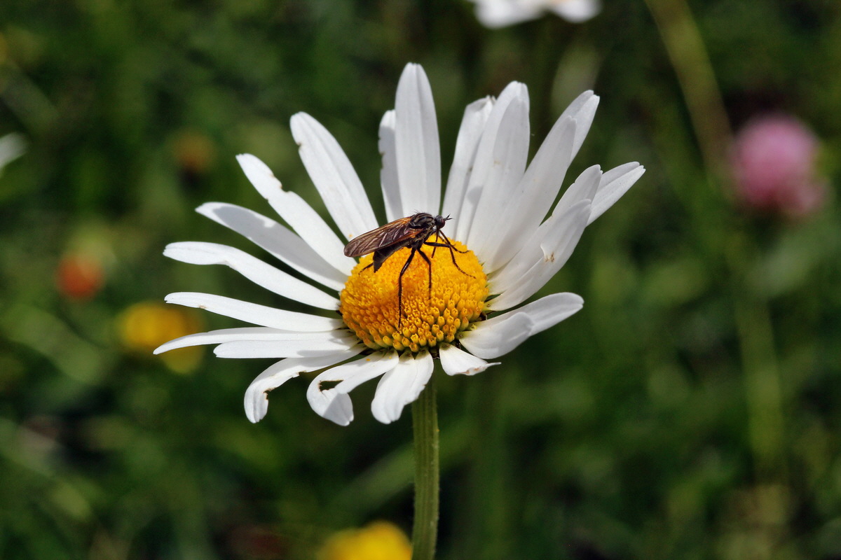 2014_07_23_00003676p_Bildgr��e �ndern