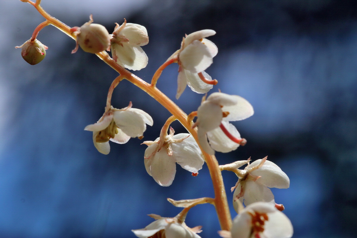 2014_07_23_00003679p_Bildgr��e �ndern