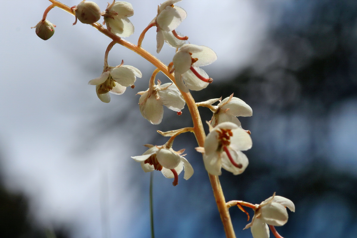 2014_07_23_00003685p_Bildgr��e �ndern