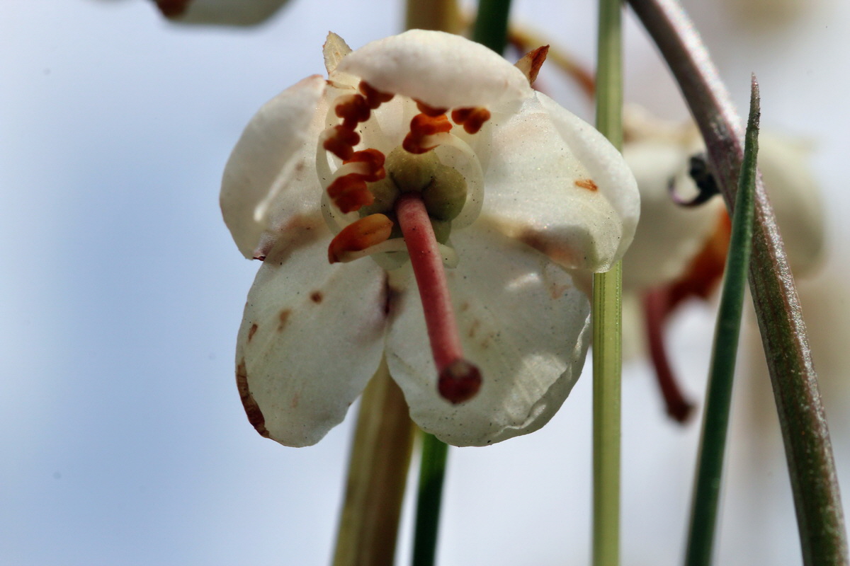 2014_07_23_00003687p_Bildgr��e �ndern