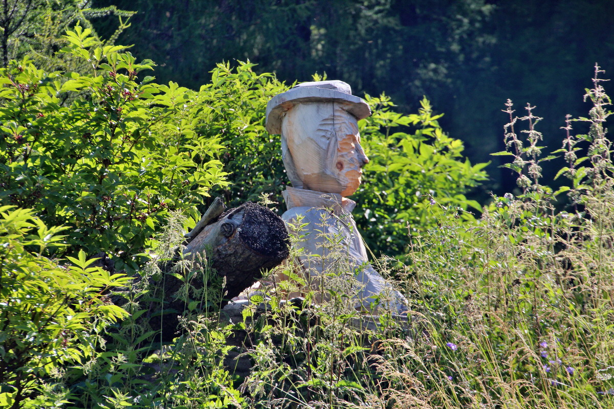 2014_07_23_00003449p_Bildgr��e �ndern