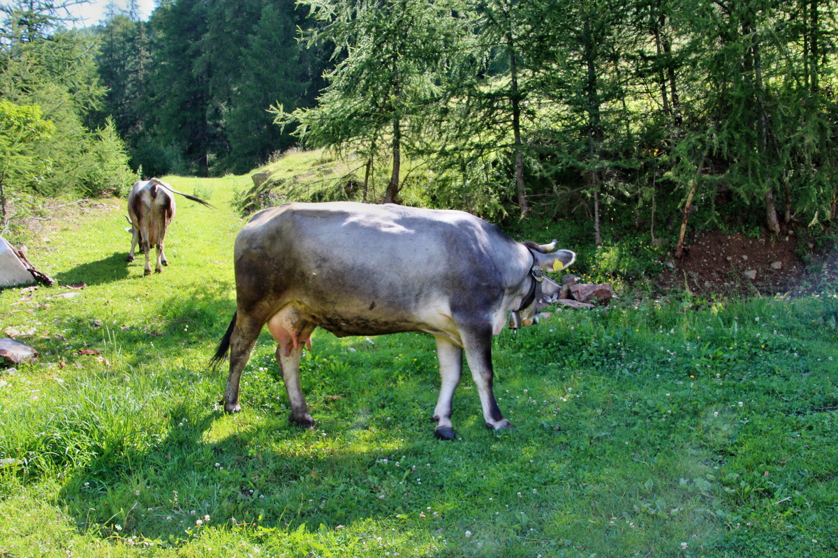 2014_07_23_00003462p_Bildgr��e �ndern