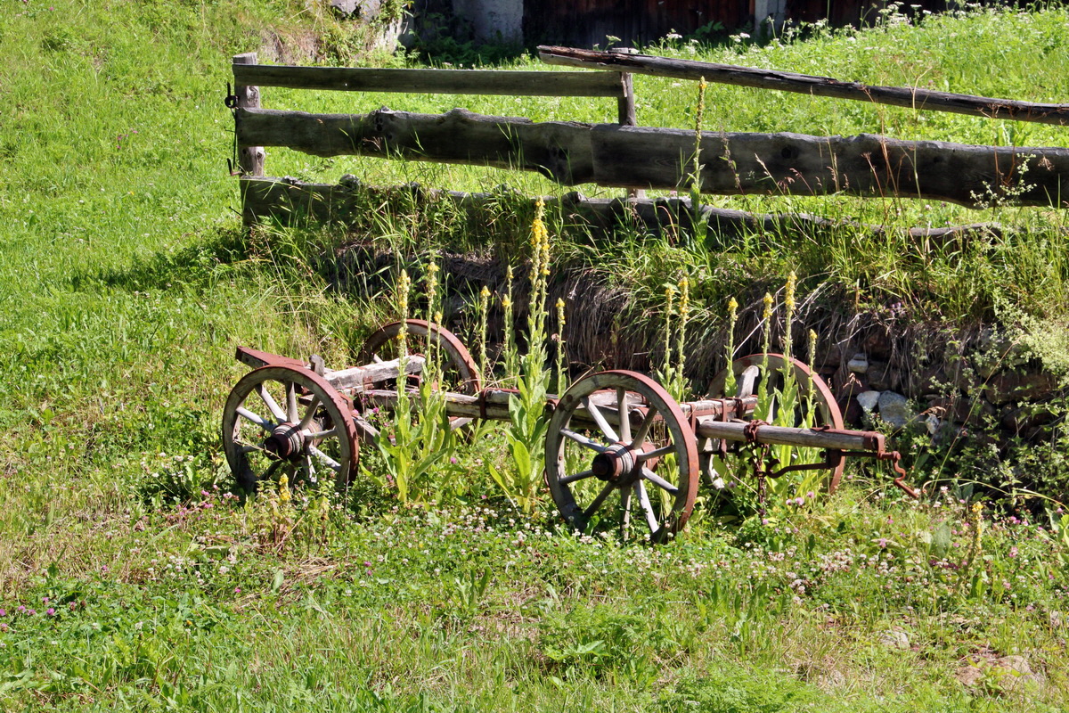 2014_07_23_00003542p_Bildgr��e �ndern